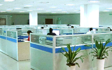 河南雙誠技術部增添綠植，提升辦公環(huán)境